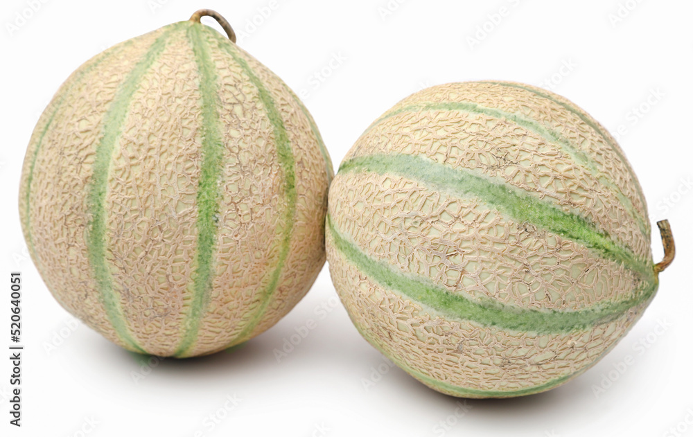 Fototapeta premium Cantaloupe or rockmelon