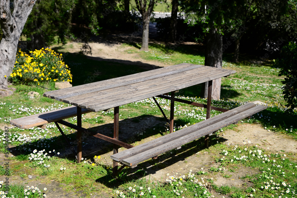 Empty wooden table with benches in park on sunny day Empty wooden table with benches in park on sunny day