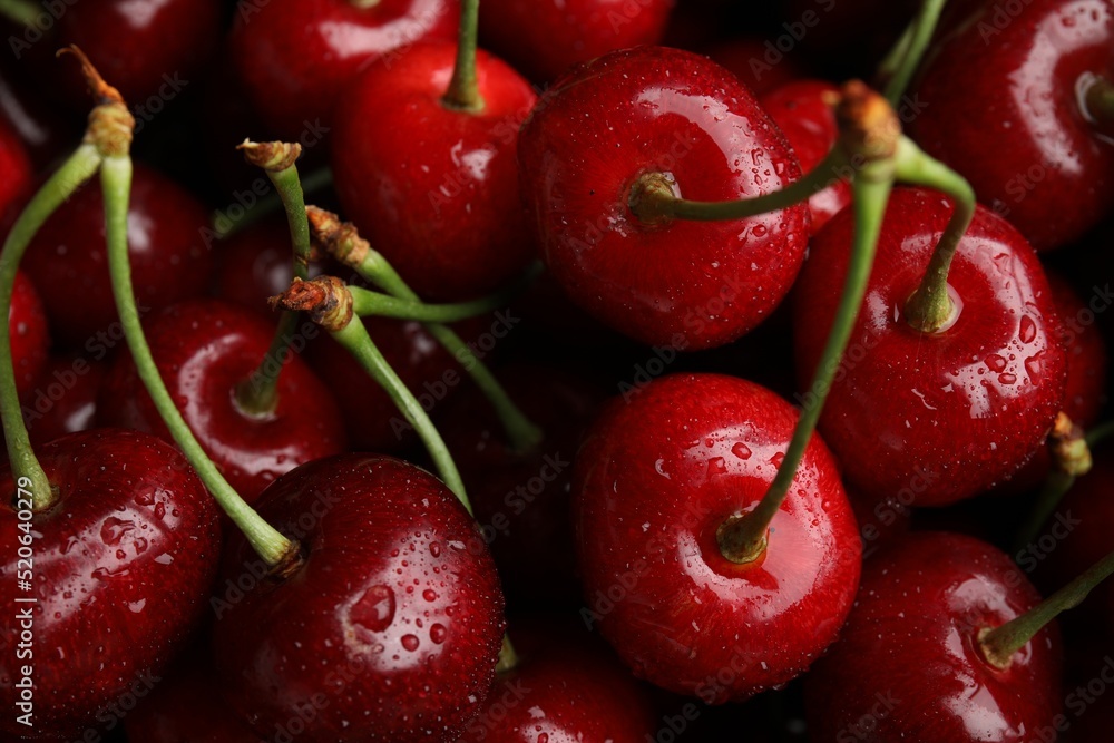 Ripe sweet cherries with water drops as background, closeup Ripe sweet cherries with water drops as background, closeup