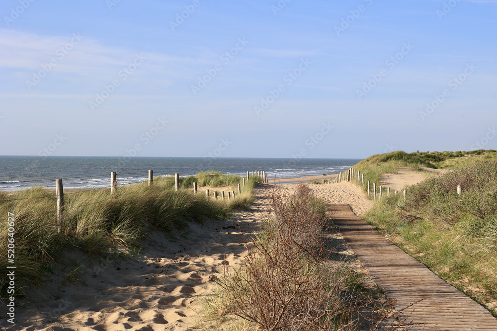 Beautiful sand dunes and wide beaches on the North Sea coast in South Holland, The Netherlands. 