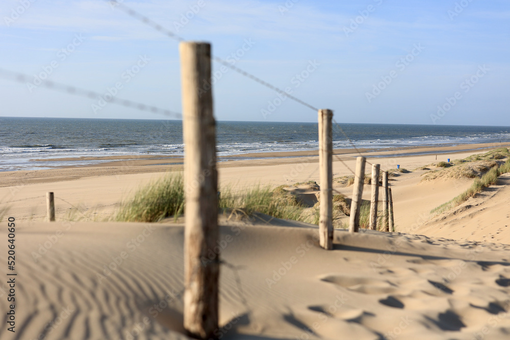 Beautiful sand dunes and wide beaches on the North Sea coast in South Holland, The Netherlands. 