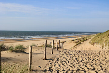 Foto auf Acrylglas Nordsee Wunderschöne Sanddünen und weite Strände an der Nordseeküste in Südholland, Niederlande.  © Travel Photos