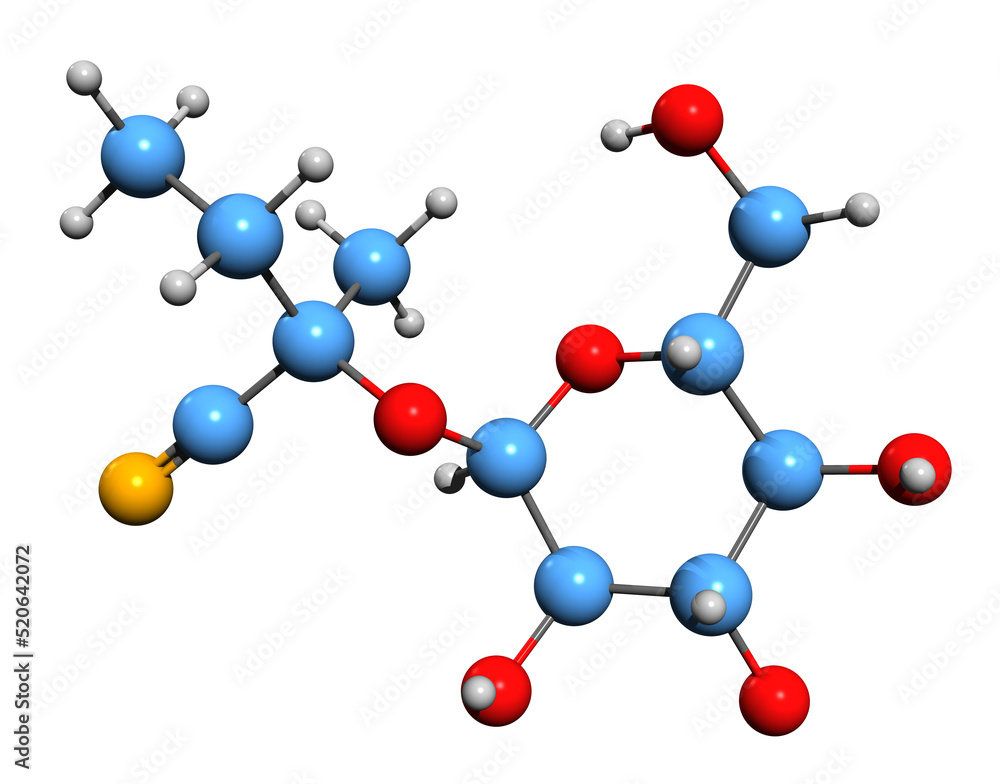 3D image of Lotaustralin skeletal formula - molecular chemical structure of cyanogenic glucoside isolated on white background 3D image of Lotaustralin skeletal formula - molecular chemical structure of cyanogenic glucoside isolated on white background