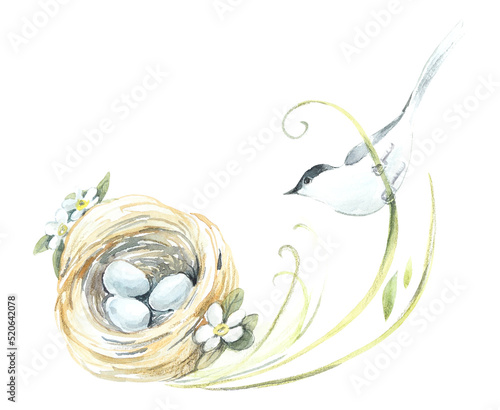 Bird on a nest. Pattern with bird and eggs. Watercolor hand drawn illustration