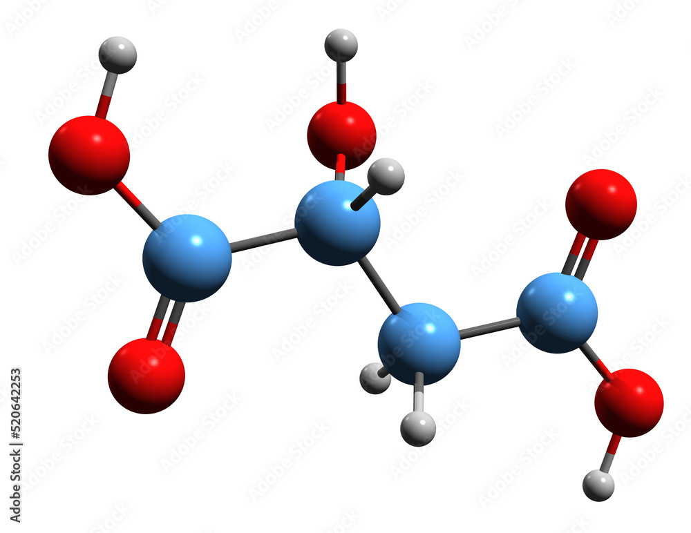 3D image of Malic acid skeletal formula - molecular chemical structure of Hydroxybutanedioic acid isolated on white background 3D image of Malic acid skeletal formula - molecular chemical structure of Hydroxybutanedioic acid isolated on white background