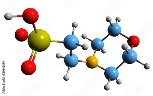  3D image of buffer MES skeletal formula - molecular chemical structure of 2-morpholin-4-ylethanesulfonic acid isolated on white background
 photo