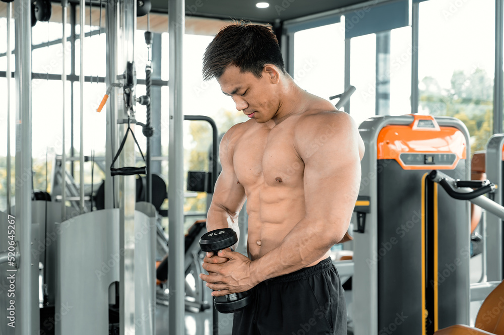 Asian men exercise by lifting weights or lifting dumbbells. Asian bodybuilder fitness concept Asian men exercise by lifting weights or lifting dumbbells. Asian bodybuilder fitness concept