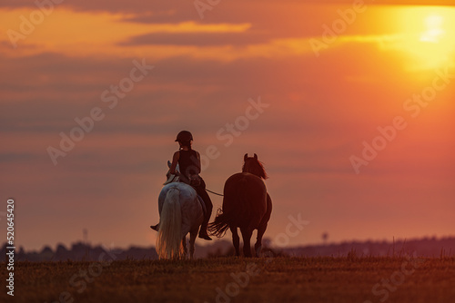 Young woman with two black and white horses leaving at sunset