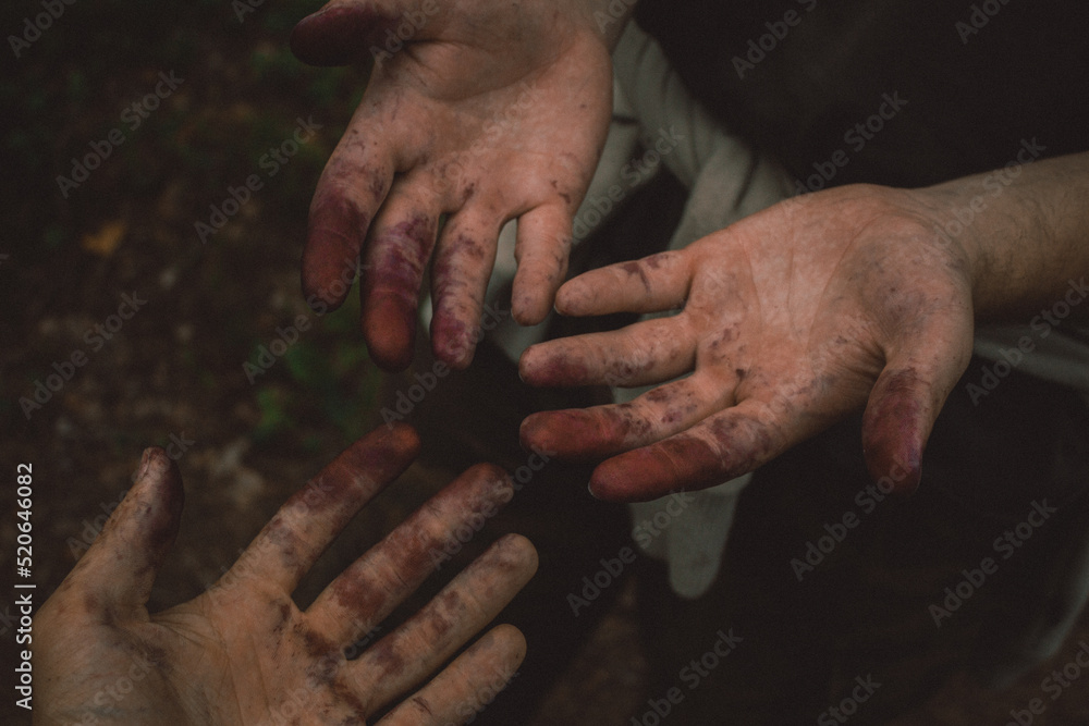 Fototapeta premium hands covered in blueberry juice