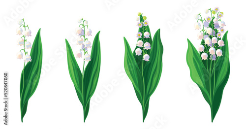 Set of beautiful lilies of the valley in cartoon style. Vector illustration of spring and summer flowers in large and small sizes with closed and open buds on white background.