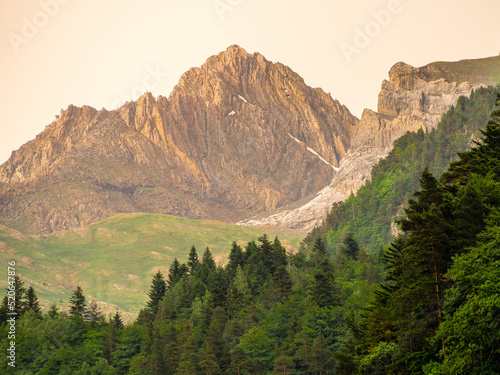 Paisaje alpino con una montaña de fondo recibiendo las luces del atardecer y un bosque de coniferas en primer plano.