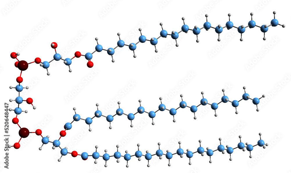 3D image of Monolysocardiolipin skeletal formula - molecular chemical structure of  phospholipid MLCL isolated on white background
