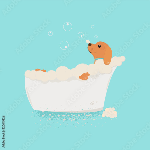 The dog takes a bath