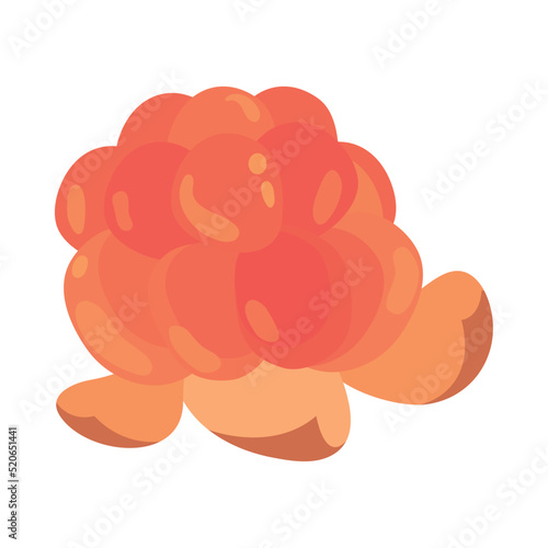 cloudberry fruit icon