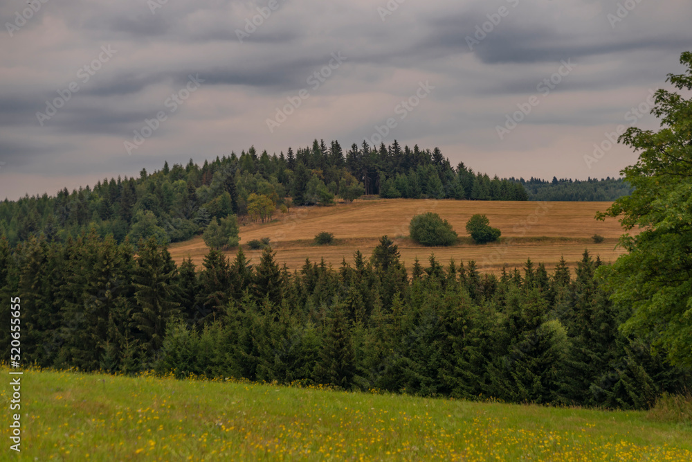 Summer morning in Krusne mountains over Chomutov town with color meadows