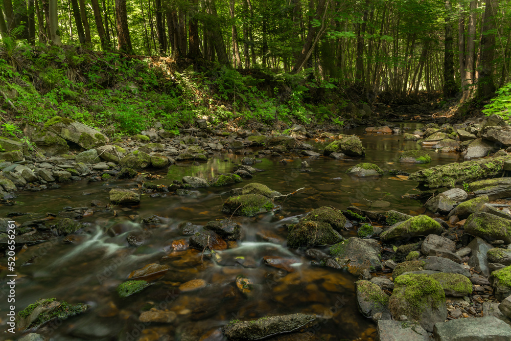 Chomutovka river in deep valley near Chomutov town in dry year without rain Chomutovka river in deep valley near Chomutov town in dry year without rain