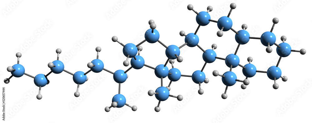 3D image of Norcholestane skeletal formula - molecular chemical ...