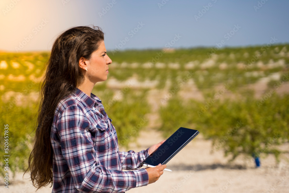 Fototapeta premium Farmer woman with a tablet using new technologies for her crop