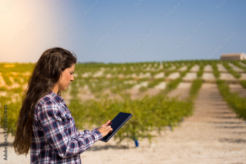 Farmer woman with a tablet using new technologies for her crop