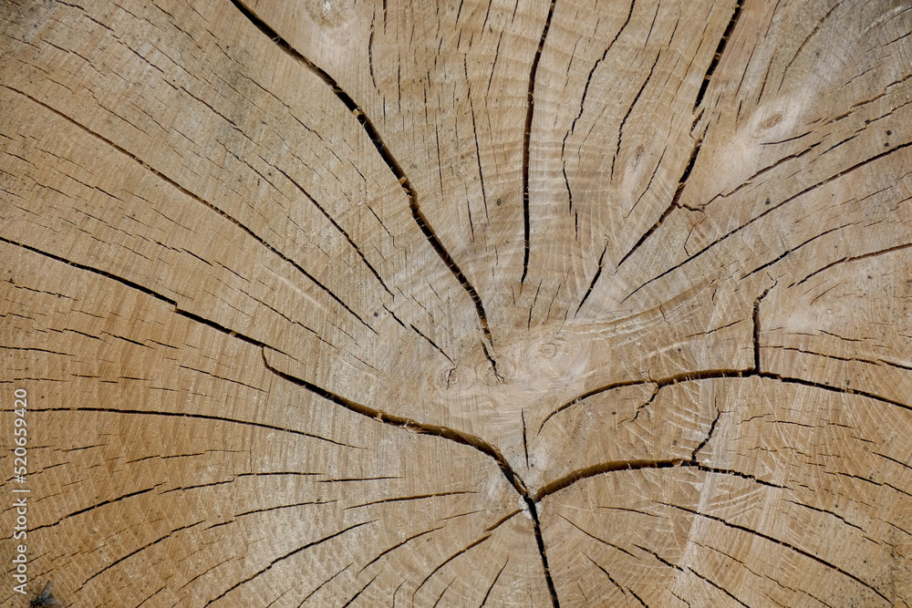 Strie strie bois veine ressource graphisme fond texture Stock Photo | Adobe Stock