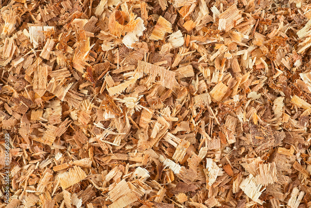 Pile of small sawdust and wood shavings, as background. Pile of small sawdust and wood shavings, as background.