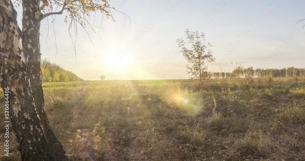 4K UHD flat meadow timelapse at the summer or autumn sunset time. Wild Russian nature and rural field. Sun rays, trees, green grass movement. Motorised dolly slider 4K UHD flat meadow timelapse at the summer or autumn sunset time. Wild Russian nature and rural field. Sun rays, trees, green grass movement. Motorised dolly slider