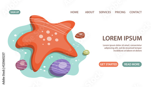 Sea shell and pebbles on the seabed. Underwater life and fauna. Beach and summer resort. Design template for banner, website, poster. Cartoon vector illustration isolated on white background