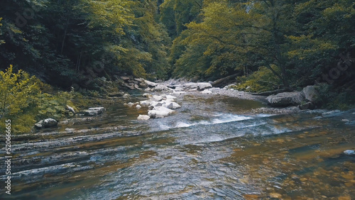 Natural landscape with mountains, forest and a river. Clip. Beautiful scenery with fast flowing wild river and wet stones, deciduous green forest.