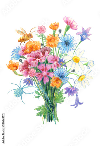 Hand drawn summer flower bouquet illustration. For postcard, poster, sketchbook cover, print, your design.