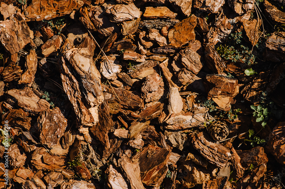 Background, texture of a pile of brown peeled bark. Photography of nature. Background, texture of a pile of brown peeled bark. Photography of nature.