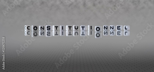 constitutionnel mot ou concept repr  sent   par des cubes de lettres en noir et blanc sur un fond d horizon gris s   tendant    l infini