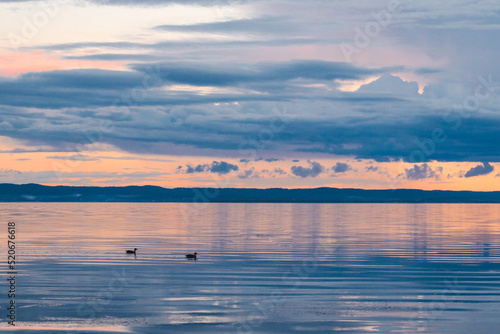 Ducks on water under vibrant sunset sky over Tuggerah Lake from Canton Beach in Toukley, NSW Australia photo