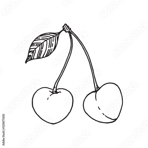 Wallpaper Mural Cherry illustration on isolated white background Torontodigital.ca