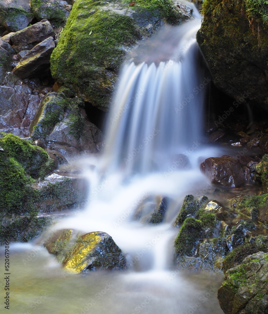 Fototapeta premium 夏の渓谷の景色