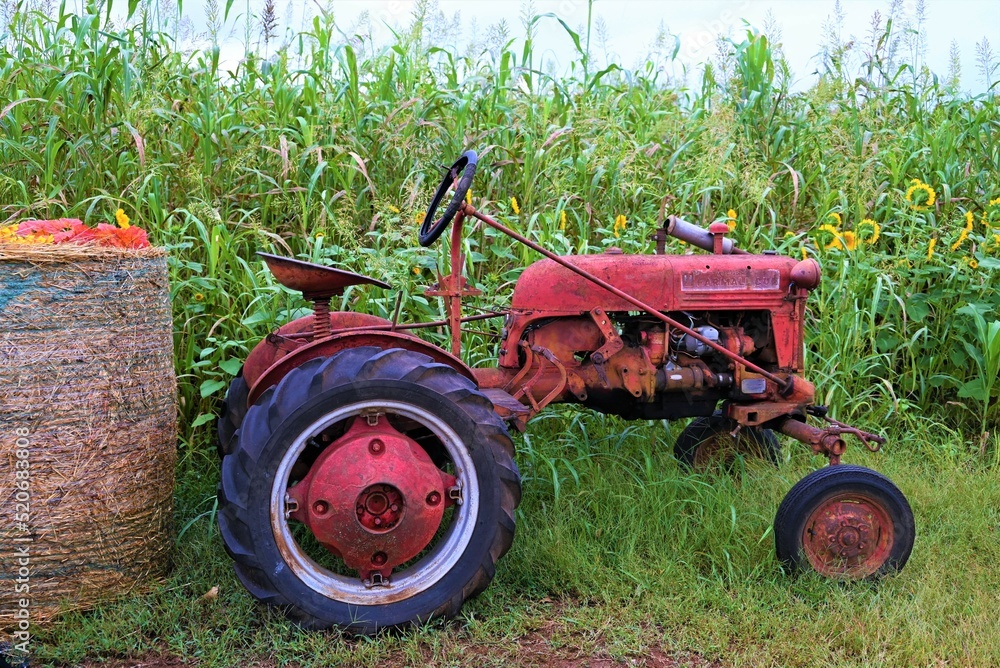 tractor
