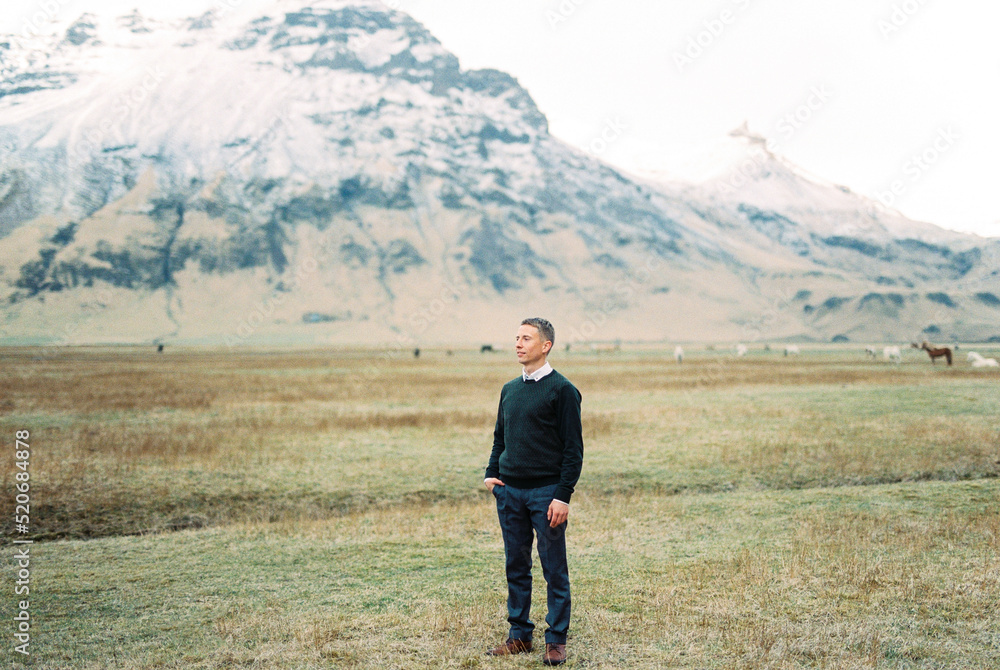Man stands in a pasture against the backdrop of grazing horses. Iceland