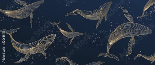 Obraz Dark blue art background with whales in gold line style. Abstract vector banner for wallpaper design, decor, print, pattern.