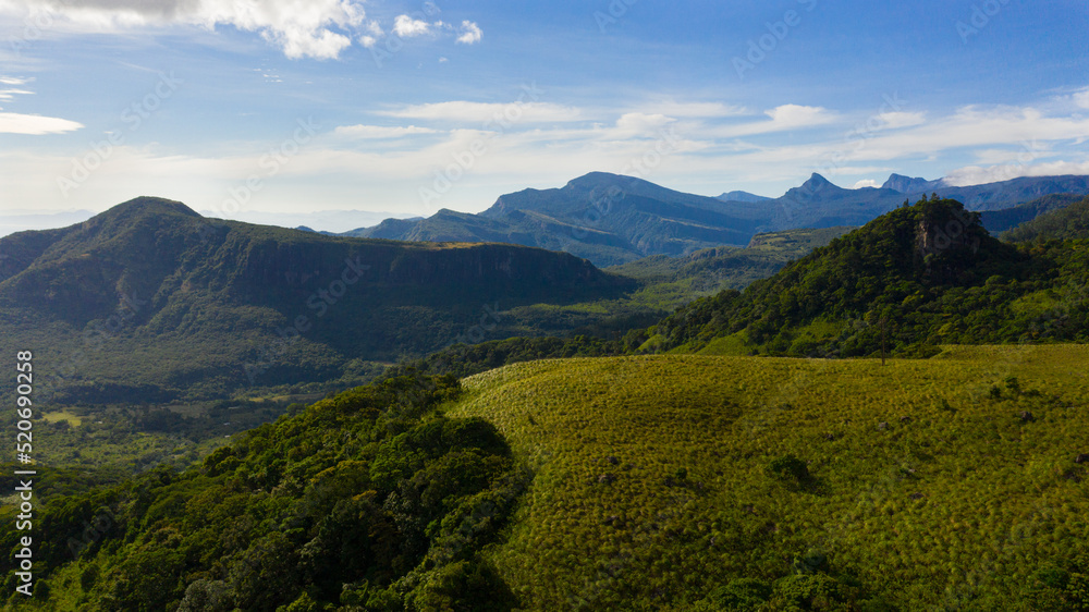 Fototapeta premium Tropical green forest in the mountains and jungle hills in the highlands of Sri Lanka. Riverston, Sri Lanka.