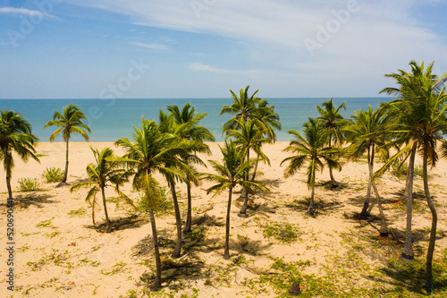 Aerial drone of Sandy beach with palm trees and turquoise water. Sri Lanka.