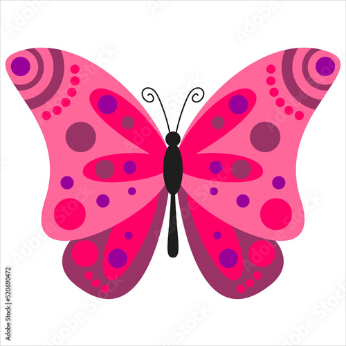 Vector image of a colored butterfly on a white background  © Andrii