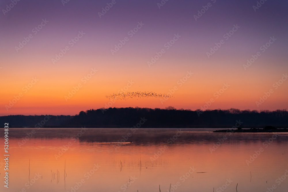 Sunrise at the lake in bird reservation