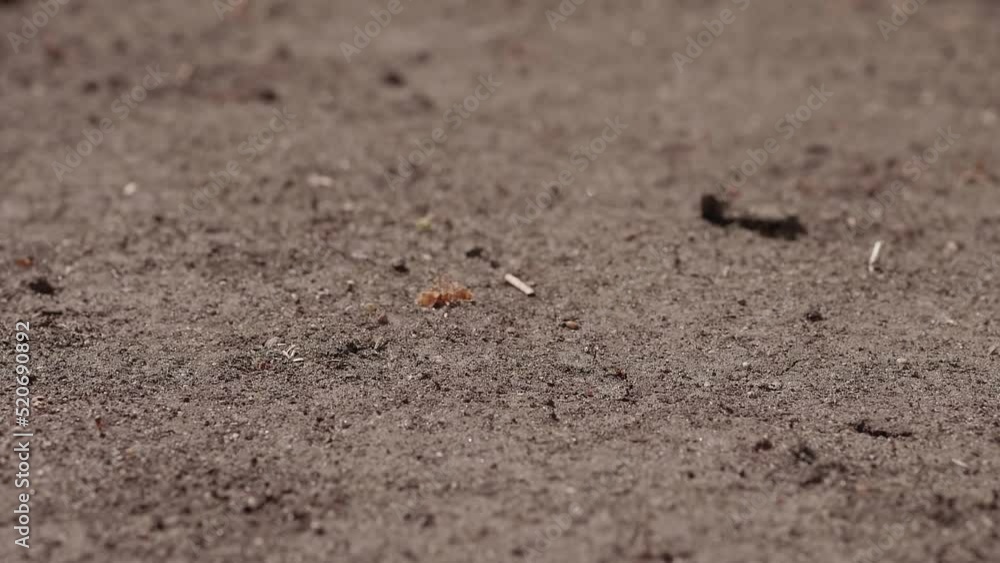 Dried, cracked ground watered with water. Slow motion recording. Dried, cracked ground watered with water. Slow motion recording.