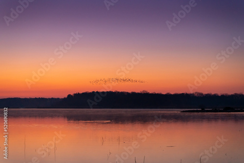 Sunrise at the lake in bird reservation