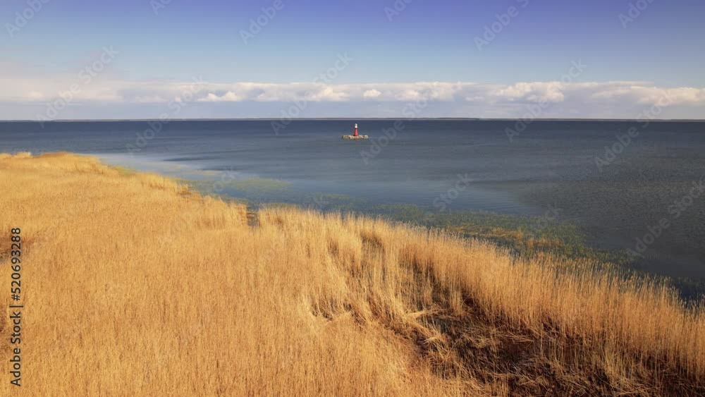 Aerial Flying Over Golden Coastline Tall Grass In Pervalka, Curonian Spit, Lithuania. Dolly Forward Aerial Flying Over Golden Coastline Tall Grass In Pervalka, Curonian Spit, Lithuania. Dolly Forward