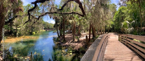 Fototapeta Naklejka Na Ścianę i Meble -  Trail leading over bridge over the river at Gemini Springs State Park just north of Orlando in Debary, Florida