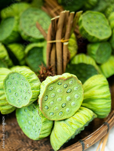 A cluster of green lotus stems bundled tightly together