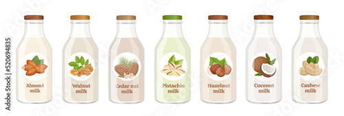 Vegan nut milk bottles. Alternative non-dairy vegetarian drink for plant based diet, healthy organic lactose free milk from almonds, cashews, hazelnut, walnut and coconut