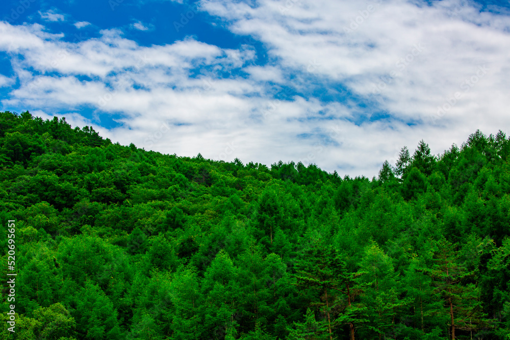 Obraz premium 長野県茅野市 初夏の御射鹿池