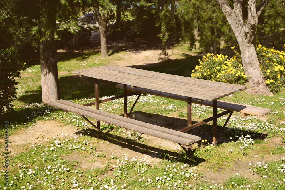 Empty wooden table with benches in park on sunny day