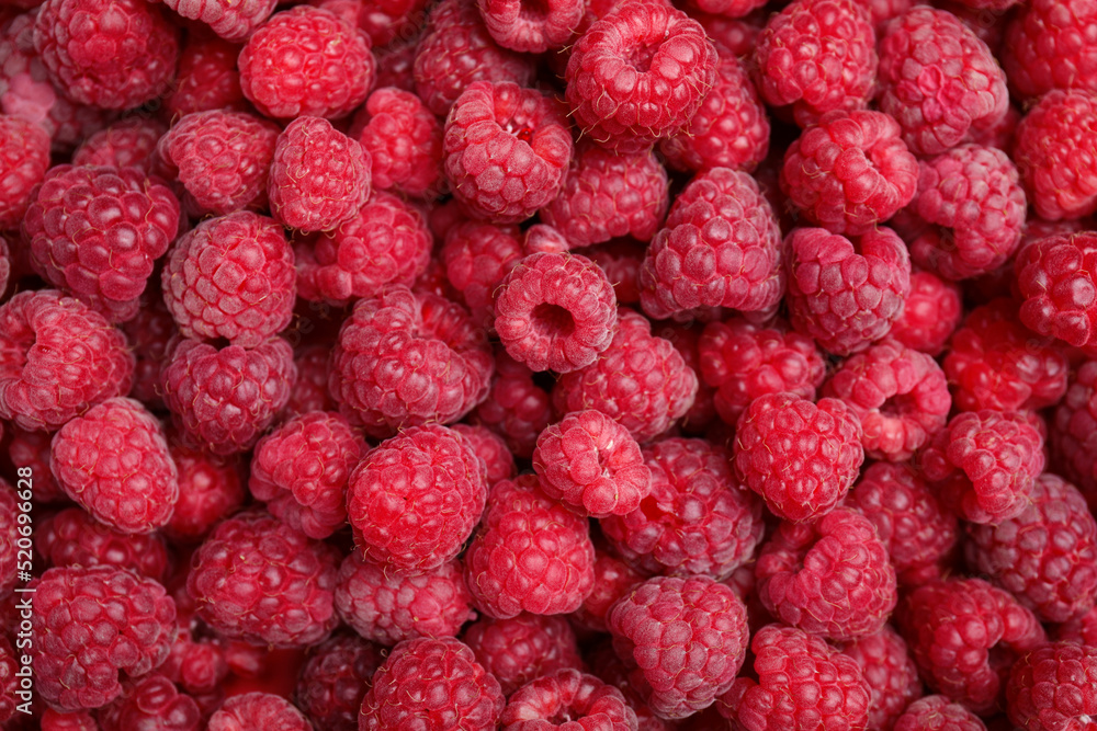Many fresh red ripe raspberries as background, top view Many fresh red ripe raspberries as background, top view